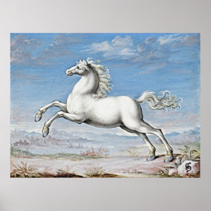 Gracful Power: White Horse - Retro Artwork Poster