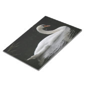 Gracful White Swan Notepad Notizblock (angewinkelt)