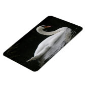 Gracful White Swan Premium Magnet (Linke Seite)