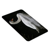 Gracful White Swan Premium Magnet (Rechte Seite)