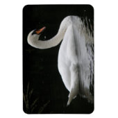 Gracful White Swan Premium Magnet (Vertikal)
