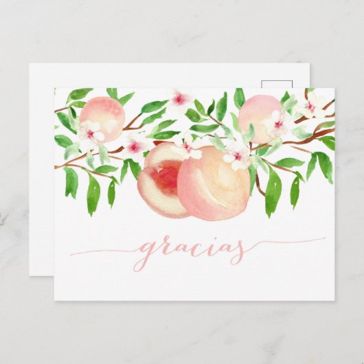 Gracias Dankeschön für die Babydusche Melokotonnen Postkarte (Vorne/Hinten)