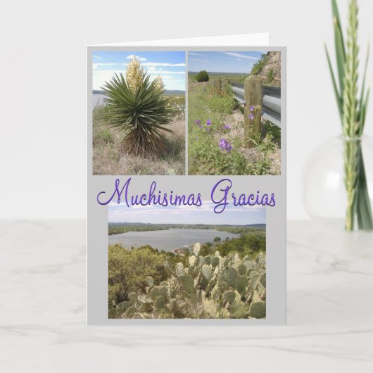 Gracias! Dankeskarte (Vorderseite)