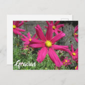 Gracias Spanisch lila Blume vielen Dank Postkarte (Vorne/Hinten)