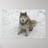 Gracie 1 poster (Vorne)