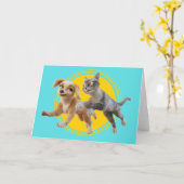 Gracie & Pedro Unleashed Karte (Gelbe Blume)