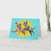 Gracie & Pedro Unleashed Karte (Vorderseite)