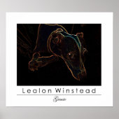 Gracie Poster (Vorne)