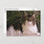 Gracie Postkarte (Vorne/Hinten)