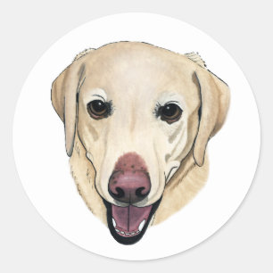 Gracie Sticker