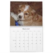Gracie und Riley Kalender (Mär 2027)
