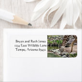 Gracious Giraffe (Insitu)