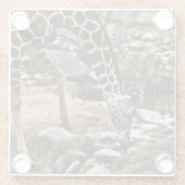 Gracious Giraffe Glasuntersetzer (Rückseite)