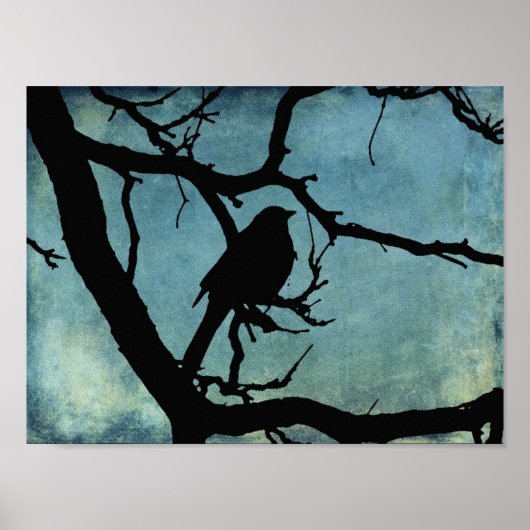 Grackle 2 poster (Vorne)