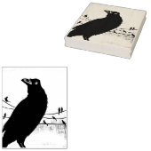 Grackle Austin Texas Black Bird Wildlife Painting Gummistempel (Stempel)