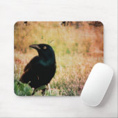 Grackle Bird Mousepad (Mit Mouse)