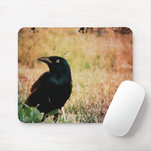 Grackle Bird Mousepad (Mit Mouse)