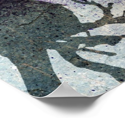 Grackle Grunge Poster (Ecke)