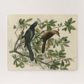Grackle mit Sattel - Audubons Vögel in Amerika Puzzle (Horizontal)