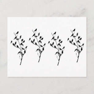 Grackle Schatten Postkarte