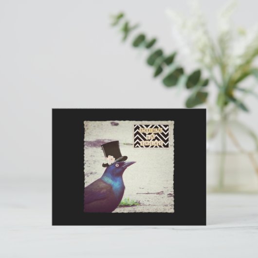 Grackle Trick oder Trete Postkarte (Stehend Vorderseite)