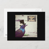 Grackle Trick oder Trete Postkarte (Vorne/Hinten)