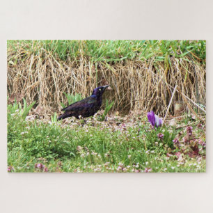 Grackle unter den Blumen Puzzle