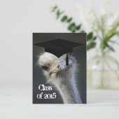 Grad-Ankündigung Ankündigungspostkarte (Stehend Vorderseite)