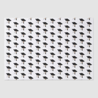 Grad-Cap-Diplom-Klasse 2025 Abschluss Seidenpapier