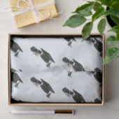 Grad-Cap-Diplom (Schwarz) Abschluss Seidenpapier (Geschenk)