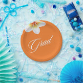 grad-Party-Ballon Pappteller (Party)