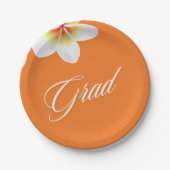 grad-Party-Ballon Pappteller (Vorderseite)