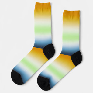 Gradient AroAce Agender Stolzflagge Socken