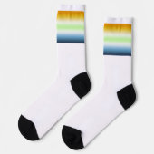 Gradient AroAce Agender Stolzflagge Socken (Linkes Detail)