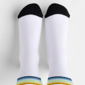 Gradient AroAce Agender Stolzflagge Socken (Oben)