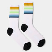 Gradient AroAce Agender Stolzflagge Socken (Rechts)