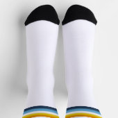 Gradient AroAce-Stolzflagge Socken (Oben)