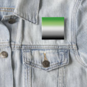 Gradient Aromantic Flag - farbenfroher, aromantisc Button (Beispiel)