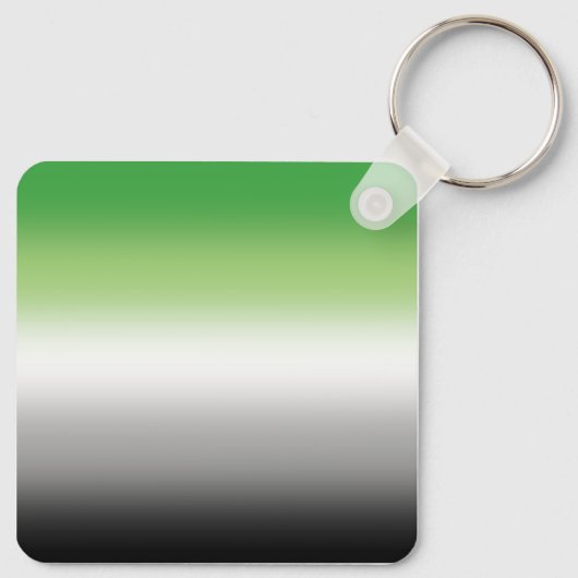 Gradient Aromantic Flag - farbenfroher, aromantisc Schlüsselanhänger (Rückseite)