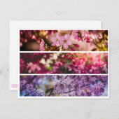 Gradient Floral Trio Postkarte (Vorne/Hinten)