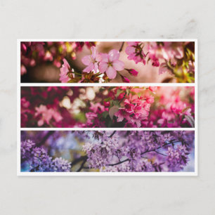 Gradient Floral Trio Postkarte