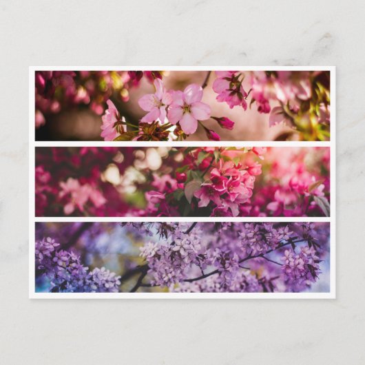 Gradient Floral Trio Postkarte (Vorderseite)