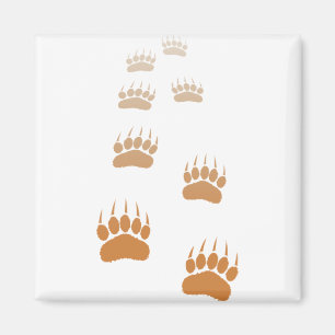 Gradient Grizzly Bär Paw Print Magnet