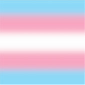 Gradient Transgender Prilag - Trans Flag Aufkleber (Vorderseite)