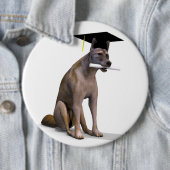 Graduate Coyote Button (Beispiel)