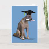 Graduate Coyote Karte (Vorderseite)
