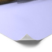 Graduate Coyote Poster (Ecke)