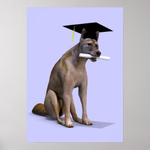 Graduate Coyote Poster