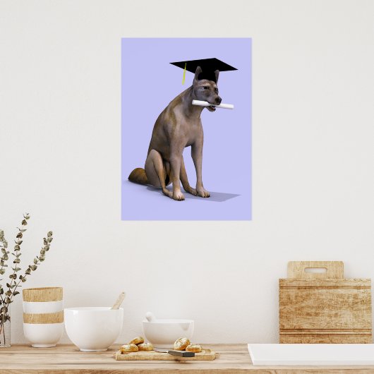 Graduate Coyote Poster (Küche)