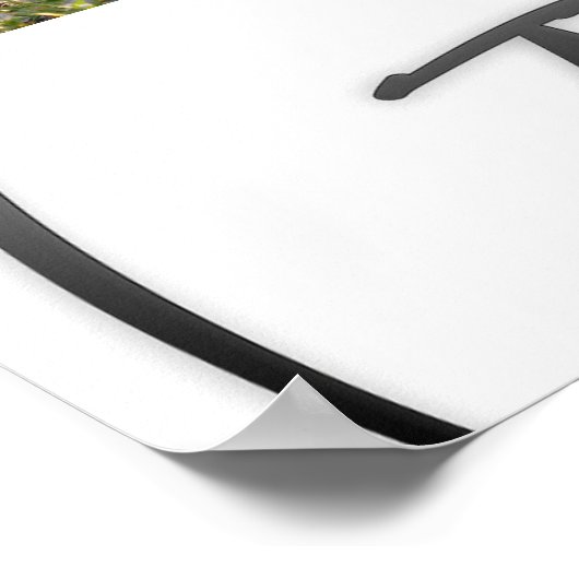 Graduate Multi Foto Collage Modernes Skript Poster (Ecke)